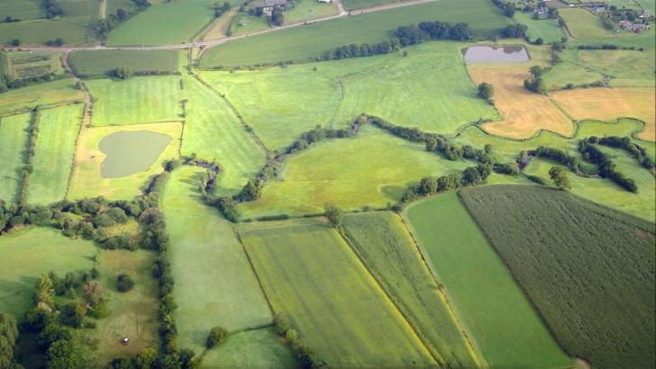 Le bocage normand